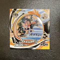 ハイキュー コレクション 缶バッジ 烏野 ホロ