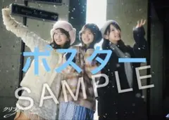 日向坂46 クリフハンガー ポスター type C柄 - メルカリ