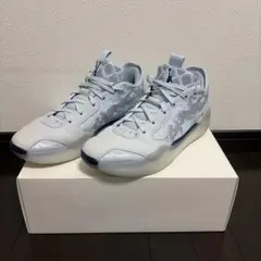 ナイキ エアジョーダン 39 