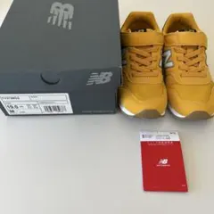 Item thumbnail for item beebad72-1632-4485-8d22-ba631fb1d300