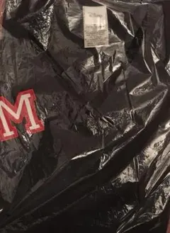 タツ様専用XSサイズディズニースクラブ