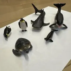 アニア　海洋生物フィギュアセット 6体