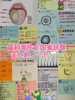 歯科衛生士国家試験ノート - メルカリ