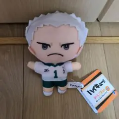 ハイキュー 青根高伸 ぬいぐるみキーホルダー にとたん にとたん ハイキュー！！ボールチェーン付ぬいぐるみ 青根