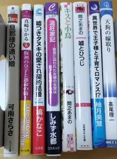 Dセット bl小説まとめ売り 8冊