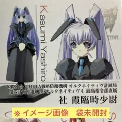 社霞 国連軍制服仕様 マブラヴ オルタネイティヴ モエコレ 内袋未開封