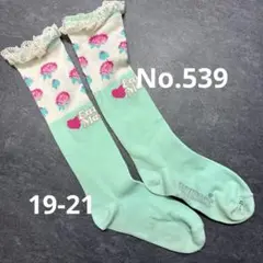アースマジック　靴下19-21