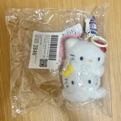 サンリオハウス アイスぬいぐるみチャーム 2種 - メルカリ