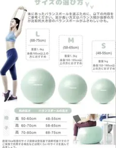 極美品 ミズノ バランスバウム 体幹 コアトレーニング 木製 - メルカリ