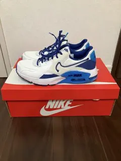 Nike Air Max ホワイト/ブルー　ナイキ　エアマックス　限定