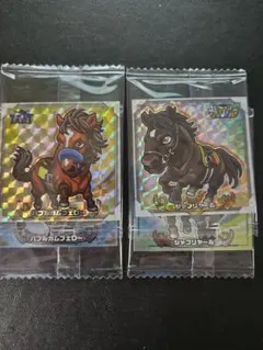 テレシア様　専用