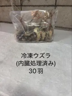 冷凍ウズラ5kg【送料込】 - メルカリ