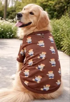 くま柄ドッグウェア 5XL 大型犬用 リード穴付き 韓国風 かわいい