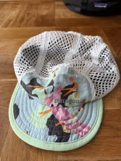 Patagonia ダックビルキャップ　廃盤カラー