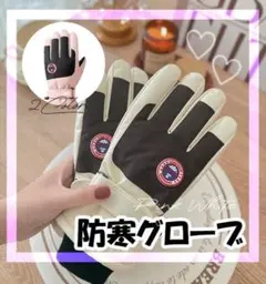 スキー グローブ スノー手袋 防水 防風 保温 スノボ スマホ対応 ピンク