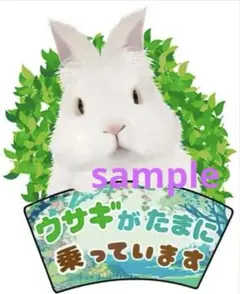 Item thumbnail for item 4b32a85f-e959-474f-ab69-8c158ef1f98a