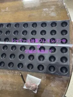 Item thumbnail for item c229052e-d537-454e-be03-ba97e5eebb14