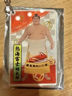 大相撲　アクリルトレカ　熱海富士
