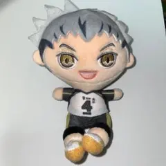 バレーボールキャラクター ぬいぐるみ 4番