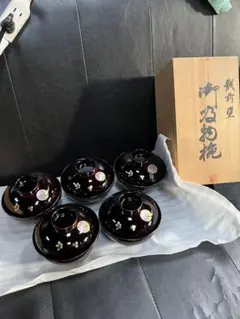 Item thumbnail for item 6071c80d-e96b-411a-9b59-0d44c0c794ab