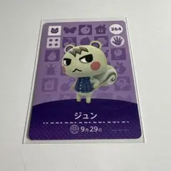 どうぶつの森　amiiboカード　ジュン　2 ジュン amiiboカード どうぶつの森 264 - メルカリ