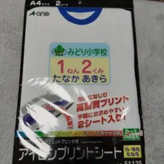 A-one アイロンプリントシート A4サイズ 2シート入 2セット