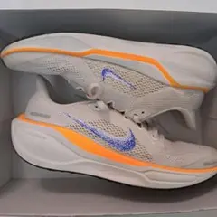 NIKEペガサス41　24.5cm