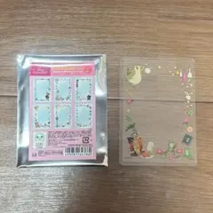 ディズニー プリンセスカードケース ティアナ