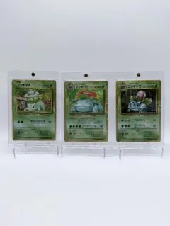 포켓몬 カード Classic 이상해씨 フシギソウ フシギバナ 3枚 CLF