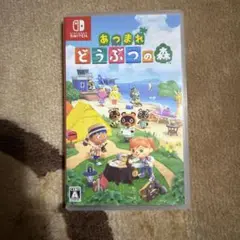 あつまれ どうぶつの森 Nintendo Switch