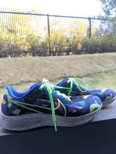 【希少コラボ】NIKE × ケリー・アンナ ペガサス38 [ 27.5cm]