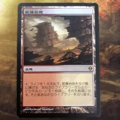 ヨーグモスの墳墓 、アーボーグ 日本語1枚 未来予知版 - メルカリ