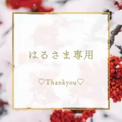 【はるさま専用】