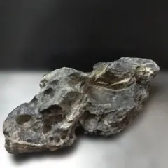 2026年最新】ada 龍王石の人気アイテム - メルカリ