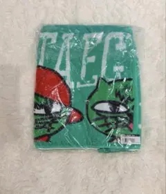 2PM テギョン TAECYEON winter一人 フード付きタオル