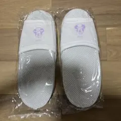 【新品未開封】ディズニーファンタジースプリングス　ホテルスリッパ　大人用