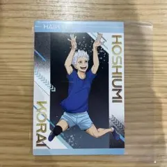 ハイキュー　特典　星海光来　ポストカード