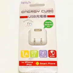 ポイント消化　●USB充電器　1A 1ポート●海外使用可