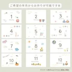 L判サイズ　マンスリーカード　アルバム　四季No.2のサムネイル