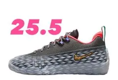 NIKE S.T. CHARGE EP ナイキ ストリートチャージ 29cm - メルカリ