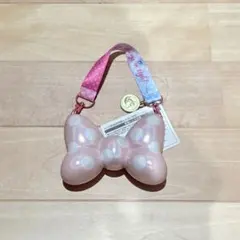 ミニー　パルパルーザ　ミニスナックケース　スーベニア