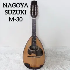 2026年最新】マンドリン M-30の人気アイテム - メルカリ