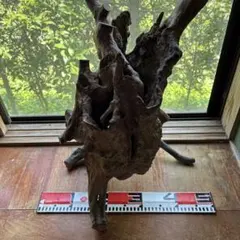 アート 置物 木材屋久杉天然根こぶ
