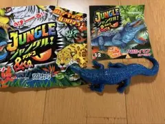 ジャングルアンドコ