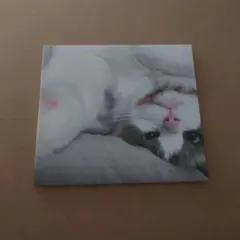 Emitation『Distribution channel of the..』