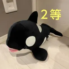 【神戸須磨シーワールド　オルカ　2等】
