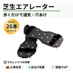 Item thumbnail for item ca20f203-8262-4f0a-9241-2bd75567ca83