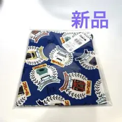 Item thumbnail for item 999239ee-93da-42ee-9f34-b7d31cd8c125