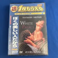 新品未開封　ぼくの美しい人だからDVD スーザン・サランドン