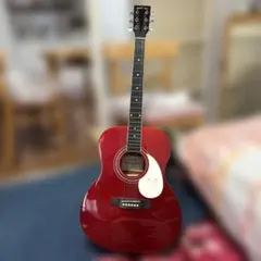 James アコースティックギター JF400/LRB - メルカリ